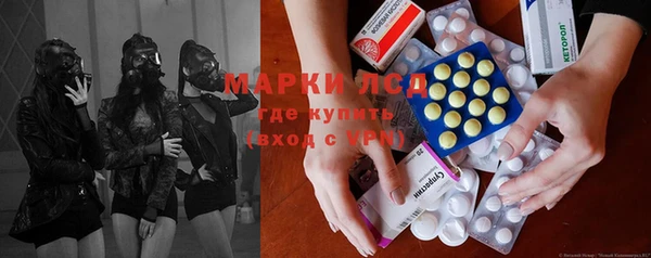 прущие крисы Бородино