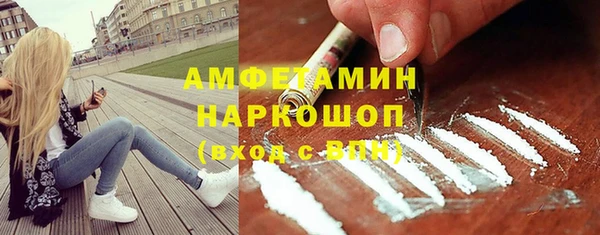 ECSTASY Богданович