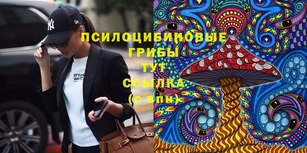 прущие крисы Бородино