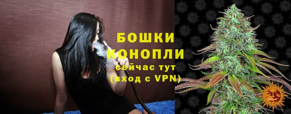 прущие крисы Бородино