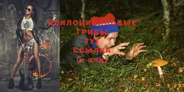 jwh Бронницы
