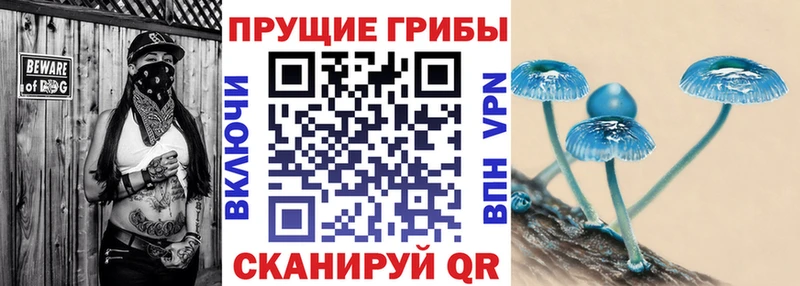 ОМГ ОМГ маркетплейс  купить наркоту  Кириши  Галлюциногенные грибы Cubensis 